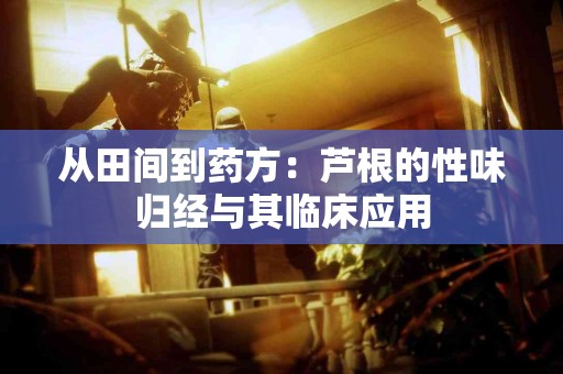 从田间到药方：芦根的性味归经与其临床应用