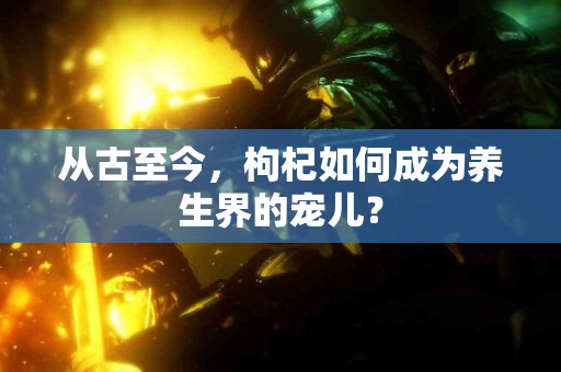 从古至今，枸杞如何成为养生界的宠儿？