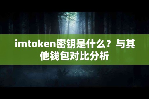 imtoken密钥是什么？与其他钱包对比分析
