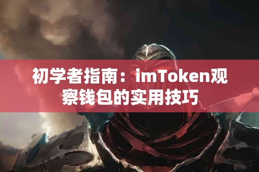 初学者指南：imToken观察钱包的实用技巧