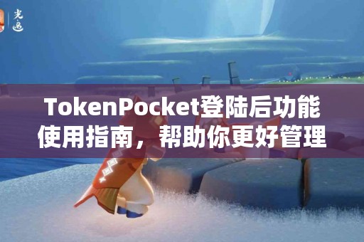 TokenPocket登陆后功能使用指南，帮助你更好管理资产