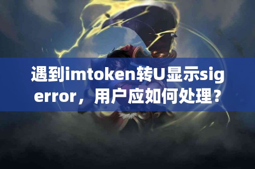 遇到imtoken转U显示sigerror，用户应如何处理？
