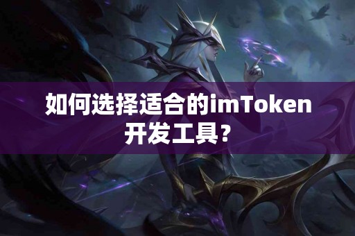 如何选择适合的imToken开发工具？