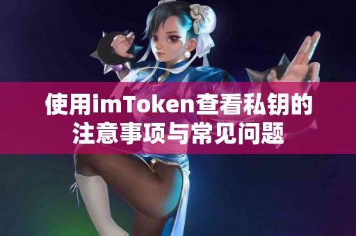 使用imToken查看私钥的注意事项与常见问题