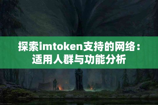探索imtoken支持的网络：适用人群与功能分析