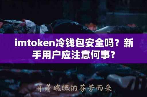imtoken冷钱包安全吗？新手用户应注意何事？