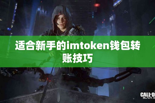 适合新手的imtoken钱包转账技巧