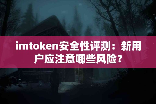 imtoken安全性评测：新用户应注意哪些风险？