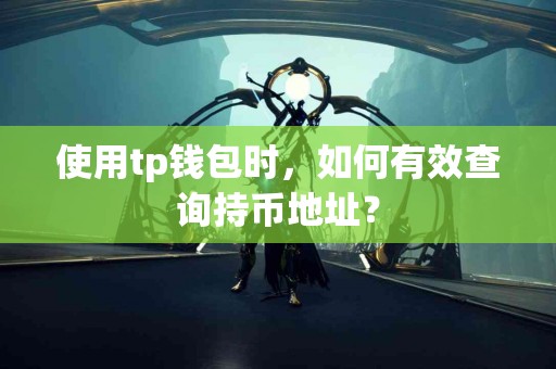 使用tp钱包时，如何有效查询持币地址？