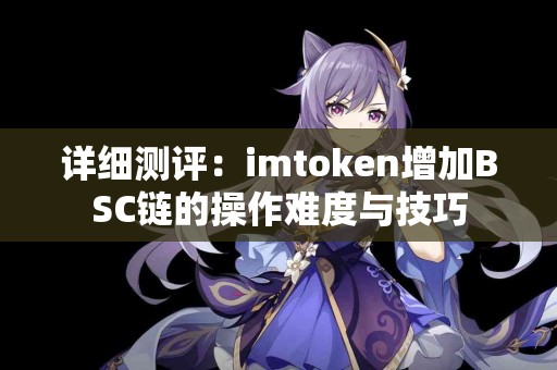 详细测评：imtoken增加BSC链的操作难度与技巧