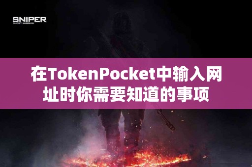 在TokenPocket中输入网址时你需要知道的事项