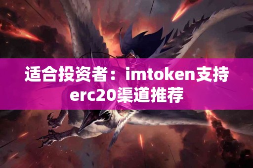 适合投资者：imtoken支持erc20渠道推荐