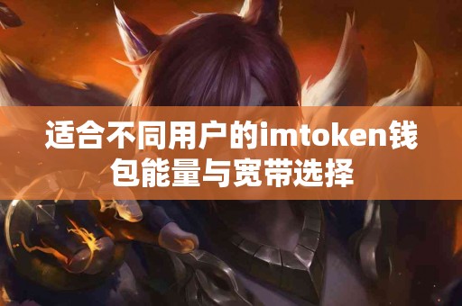 适合不同用户的imtoken钱包能量与宽带选择
