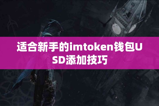 适合新手的imtoken钱包USD添加技巧