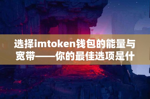 选择imtoken钱包的能量与宽带——你的最佳选项是什么？