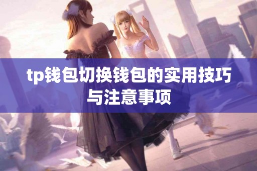 tp钱包切换钱包的实用技巧与注意事项