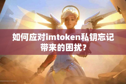 如何应对imtoken私钥忘记带来的困扰？