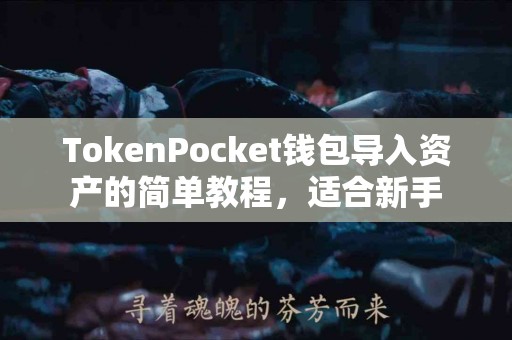 TokenPocket钱包导入资产的简单教程，适合新手