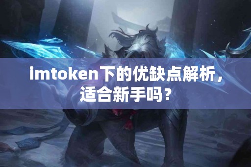 imtoken下的优缺点解析，适合新手吗？