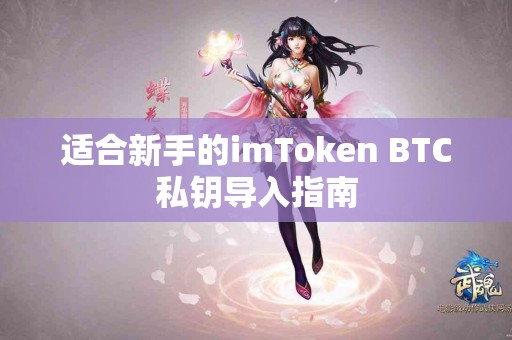 适合新手的imToken BTC私钥导入指南