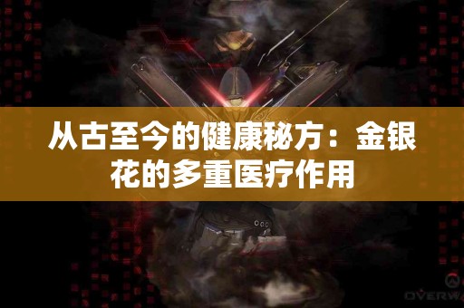从古至今的健康秘方：金银花的多重医疗作用