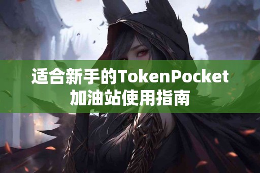 适合新手的TokenPocket加油站使用指南
