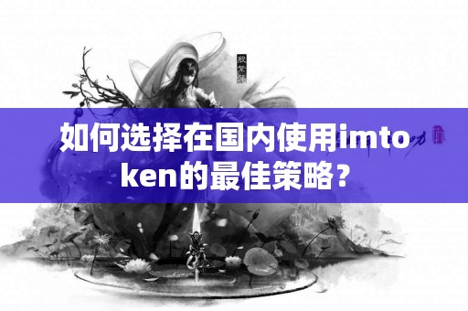 如何选择在国内使用imtoken的最佳策略？
