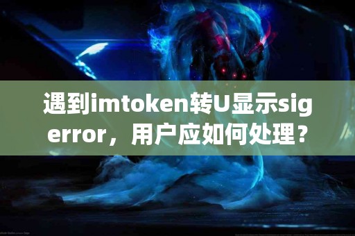 遇到imtoken转U显示sigerror，用户应如何处理？