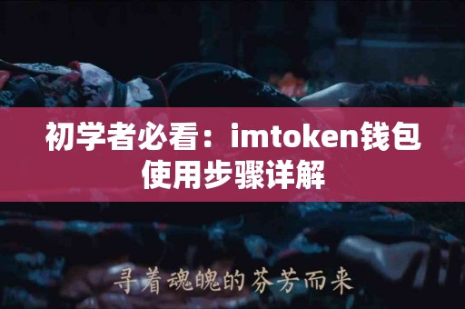 初学者必看：imtoken钱包使用步骤详解