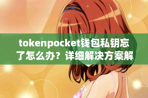 tokenpocket钱包私钥忘了怎么办？详细解决方案解析